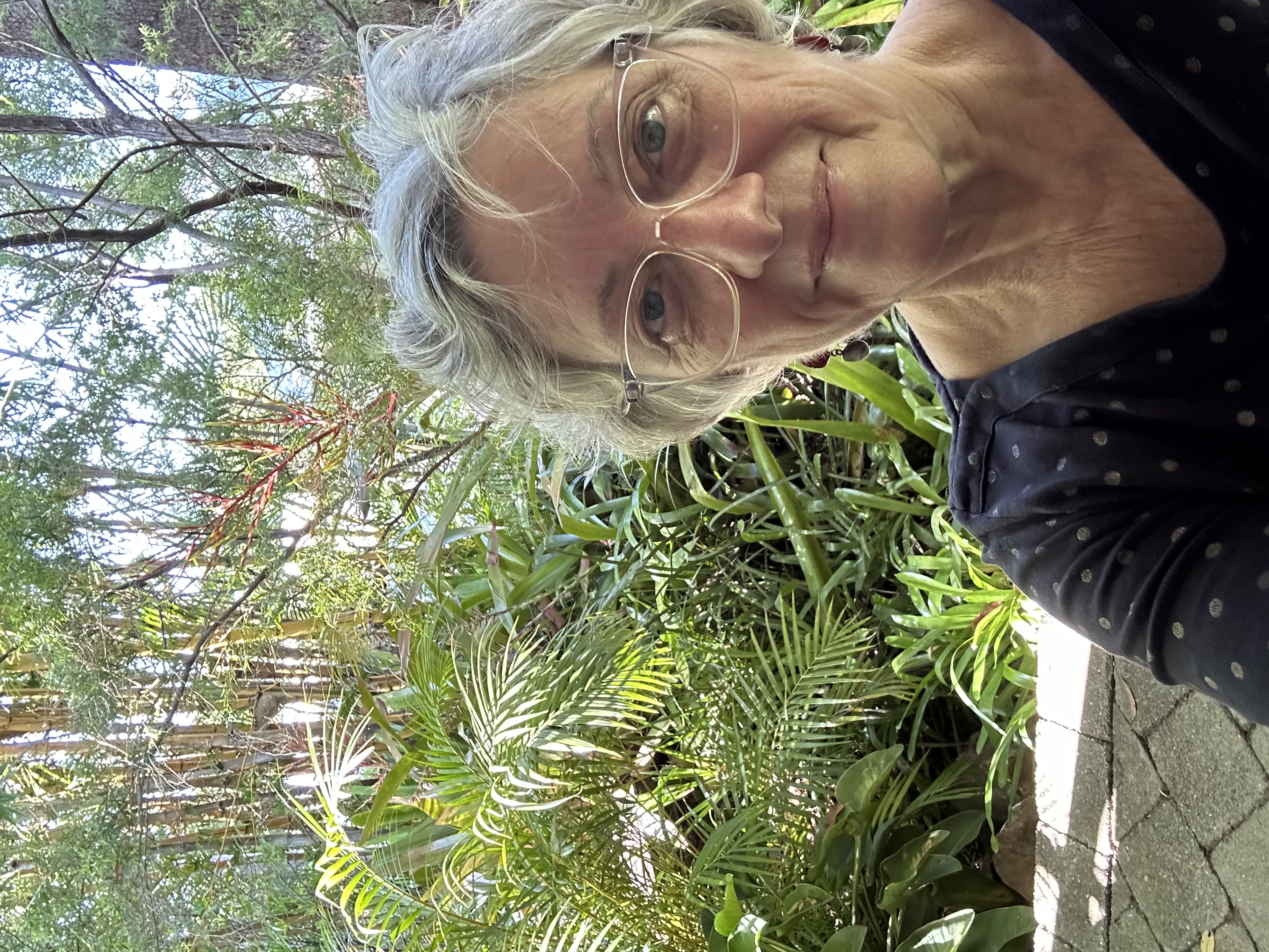 Profile picture for Adele Karen Wallis